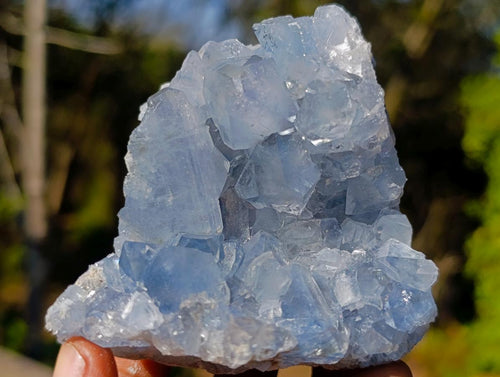 Natural Blue Celestite Geode Specimens x 6 From Sakoany, Madagascar - Toprock Gemstones and Minerals 