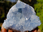 Natural Blue Celestite Geode Specimens x 6 From Sakoany, Madagascar - Toprock Gemstones and Minerals 