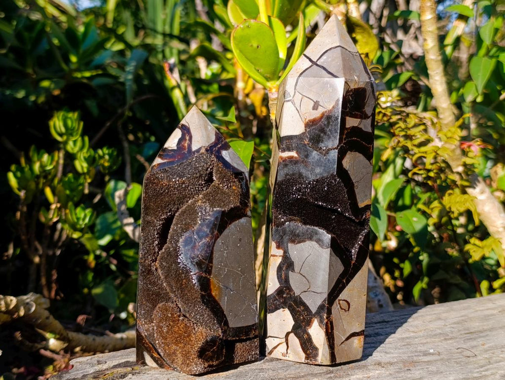 Polished Septerye Sauvage Display Crystals x 2 From Mahajanga, Madagascar - Toprock Gemstones and Minerals 