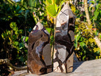 Polished Septerye Sauvage Display Crystals x 2 From Mahajanga, Madagascar - Toprock Gemstones and Minerals 