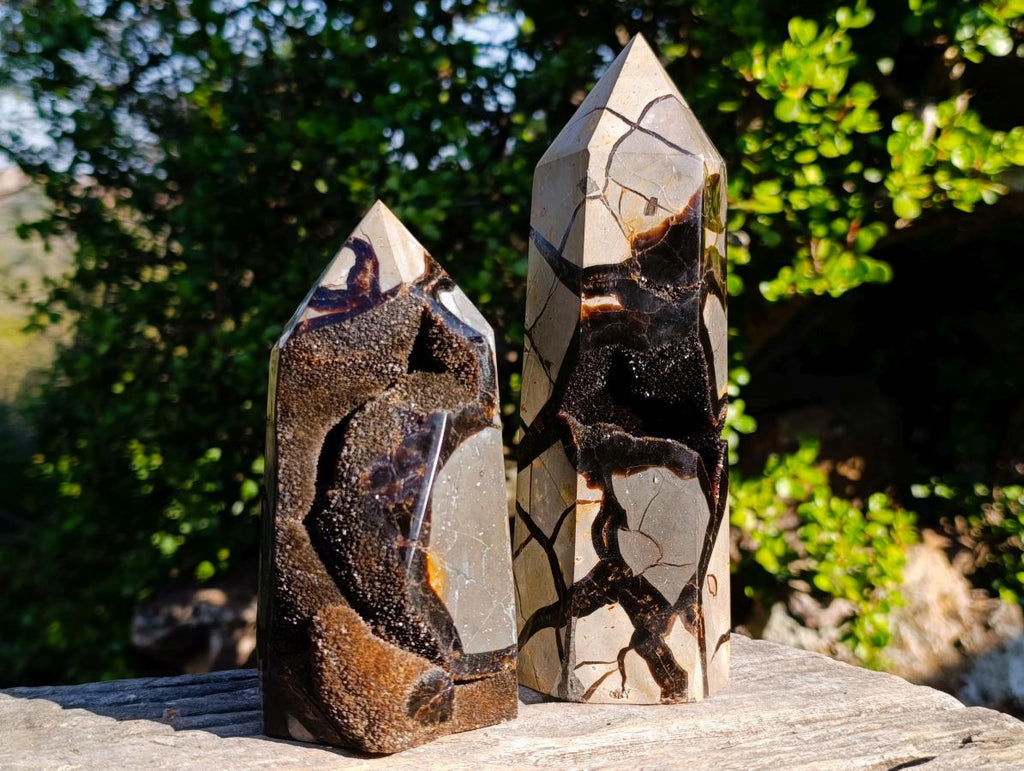 Polished Septerye Sauvage Display Crystals x 2 From Mahajanga, Madagascar - Toprock Gemstones and Minerals 