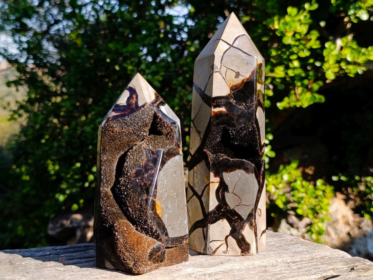 Polished Septerye Sauvage Display Crystals x 2 From Mahajanga, Madagascar - Toprock Gemstones and Minerals 