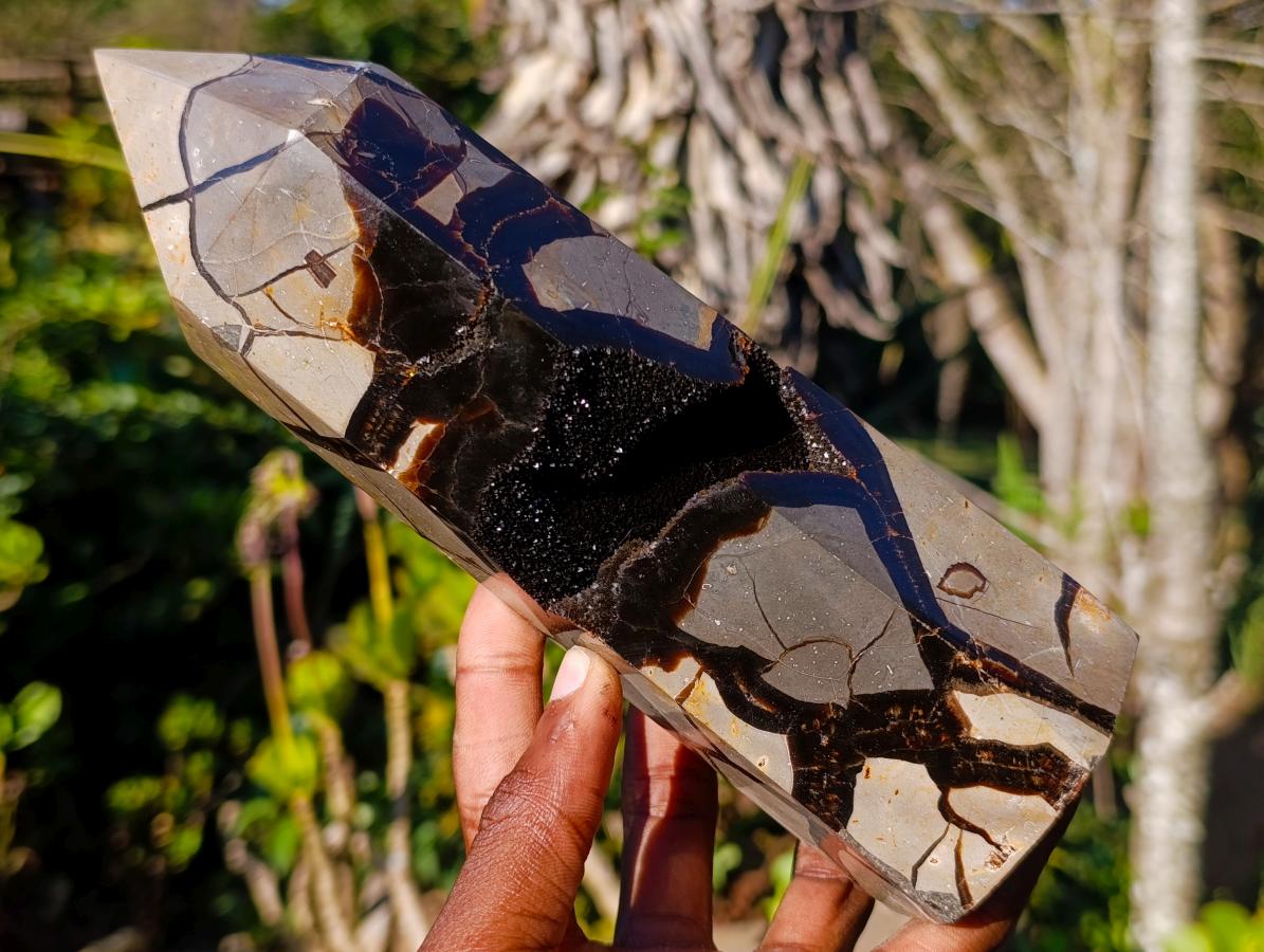 Polished Septerye Sauvage Display Crystals x 2 From Mahajanga, Madagascar - Toprock Gemstones and Minerals 