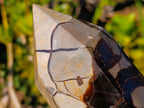 Polished Septerye Sauvage Display Crystals x 2 From Mahajanga, Madagascar - Toprock Gemstones and Minerals 