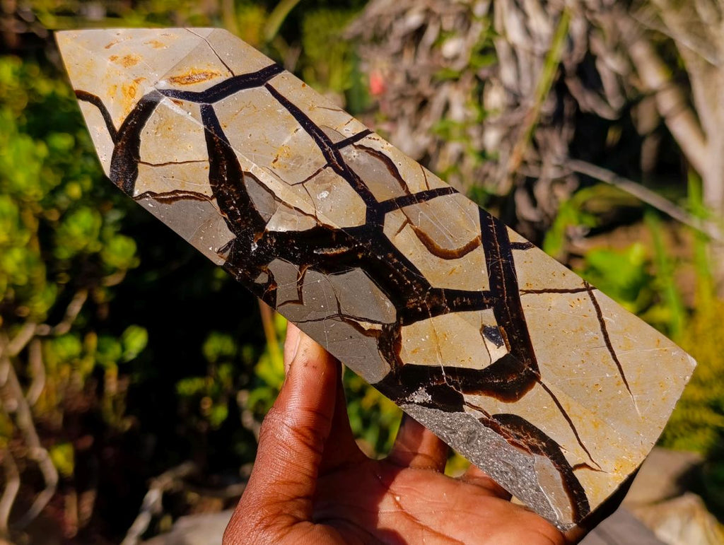 Polished Septerye Sauvage Display Crystals x 2 From Mahajanga, Madagascar - Toprock Gemstones and Minerals 
