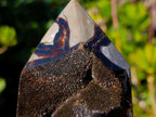 Polished Septerye Sauvage Display Crystals x 2 From Mahajanga, Madagascar - Toprock Gemstones and Minerals 