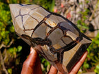 Polished Septerye Sauvage Display Crystals x 2 From Mahajanga, Madagascar - Toprock Gemstones and Minerals 