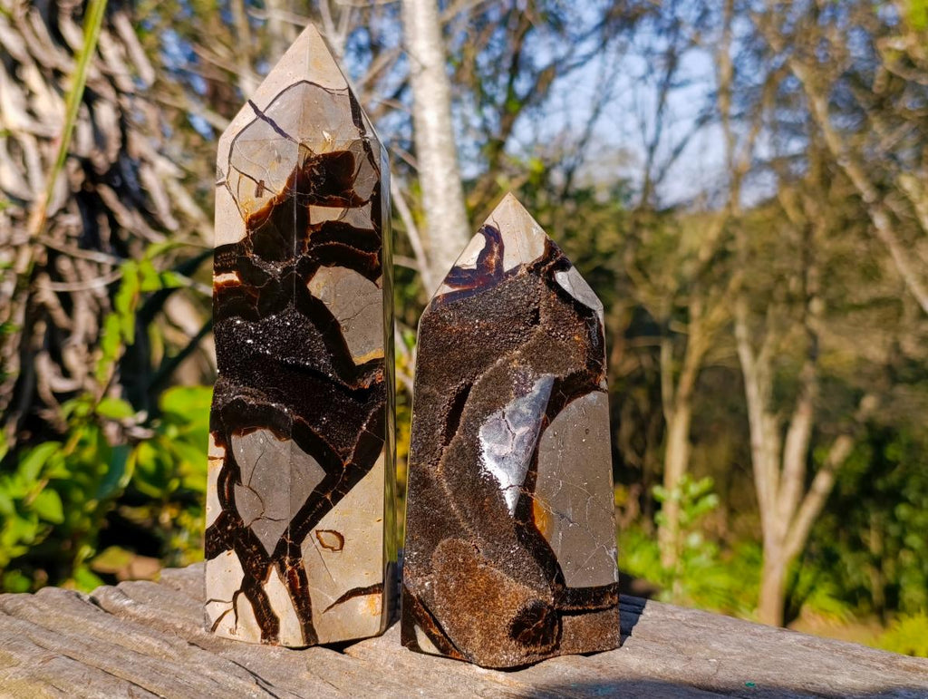 Polished Septerye Sauvage Display Crystals x 2 From Mahajanga, Madagascar - Toprock Gemstones and Minerals 