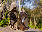 Polished Septerye Sauvage Display Crystals x 2 From Mahajanga, Madagascar - Toprock Gemstones and Minerals 
