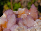Natural Spirit Amethyst and Spirit Ametrine Clusters x 6 From Boekenhouthoek, South Africa - Toprock Gemstones and Minerals 