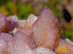 Natural Spirit Amethyst and Spirit Ametrine Clusters x 6 From Boekenhouthoek, South Africa - Toprock Gemstones and Minerals 