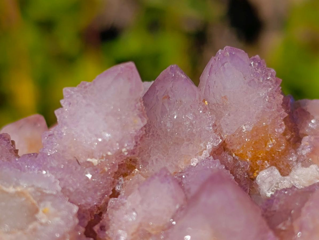 Natural Spirit Amethyst and Spirit Ametrine Clusters x 6 From Boekenhouthoek, South Africa - Toprock Gemstones and Minerals 