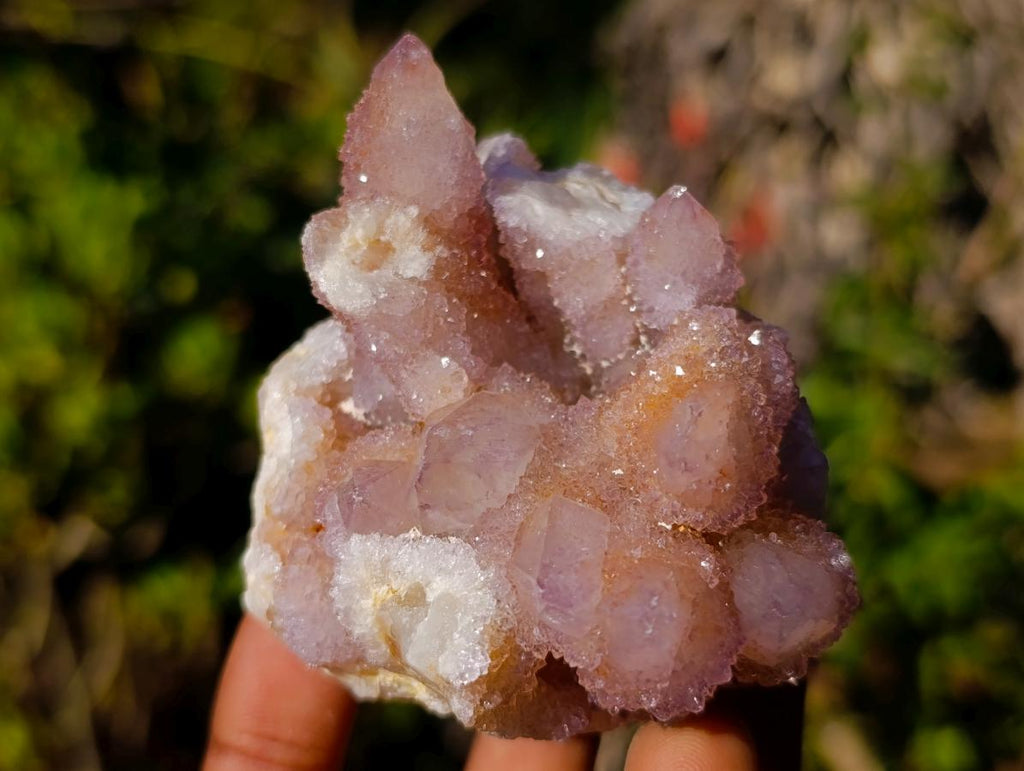 Natural Spirit Amethyst and Spirit Ametrine Clusters x 6 From Boekenhouthoek, South Africa - Toprock Gemstones and Minerals 