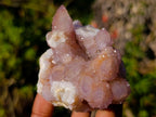 Natural Spirit Amethyst and Spirit Ametrine Clusters x 6 From Boekenhouthoek, South Africa - Toprock Gemstones and Minerals 