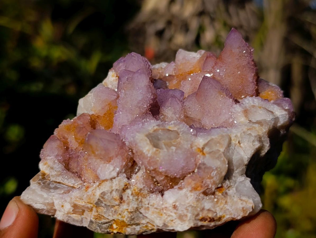 Natural Spirit Amethyst and Spirit Ametrine Clusters x 6 From Boekenhouthoek, South Africa - Toprock Gemstones and Minerals 
