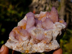 Natural Spirit Amethyst and Spirit Ametrine Clusters x 6 From Boekenhouthoek, South Africa - Toprock Gemstones and Minerals 