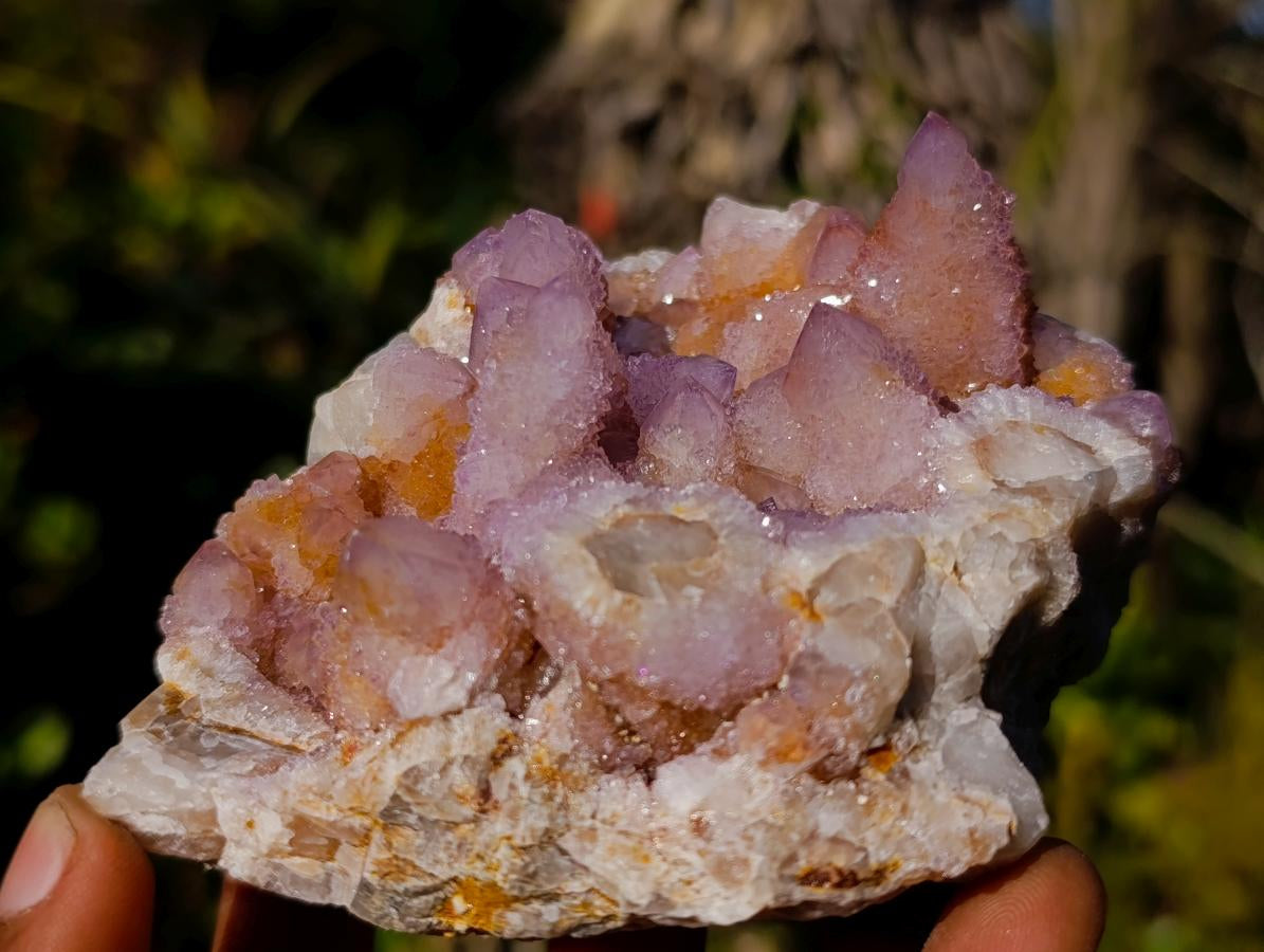 Natural Spirit Amethyst and Spirit Ametrine Clusters x 6 From Boekenhouthoek, South Africa - Toprock Gemstones and Minerals 
