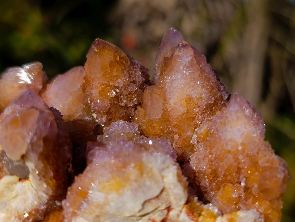 Natural Spirit Amethyst and Spirit Ametrine Clusters x 6 From Boekenhouthoek, South Africa - Toprock Gemstones and Minerals 