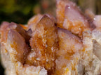 Natural Spirit Amethyst and Spirit Ametrine Clusters x 6 From Boekenhouthoek, South Africa - Toprock Gemstones and Minerals 
