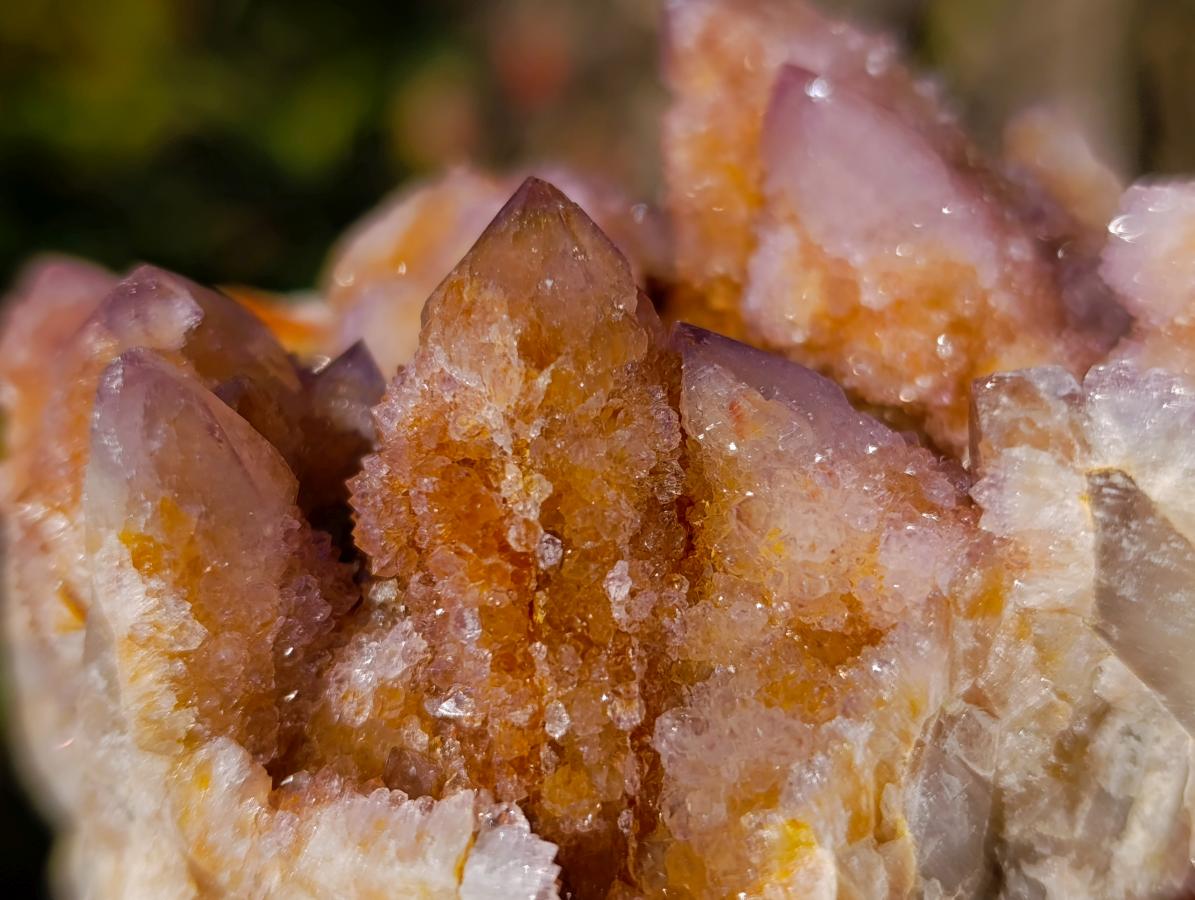 Natural Spirit Amethyst and Spirit Ametrine Clusters x 6 From Boekenhouthoek, South Africa - Toprock Gemstones and Minerals 