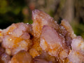 Natural Spirit Amethyst and Spirit Ametrine Clusters x 6 From Boekenhouthoek, South Africa - Toprock Gemstones and Minerals 