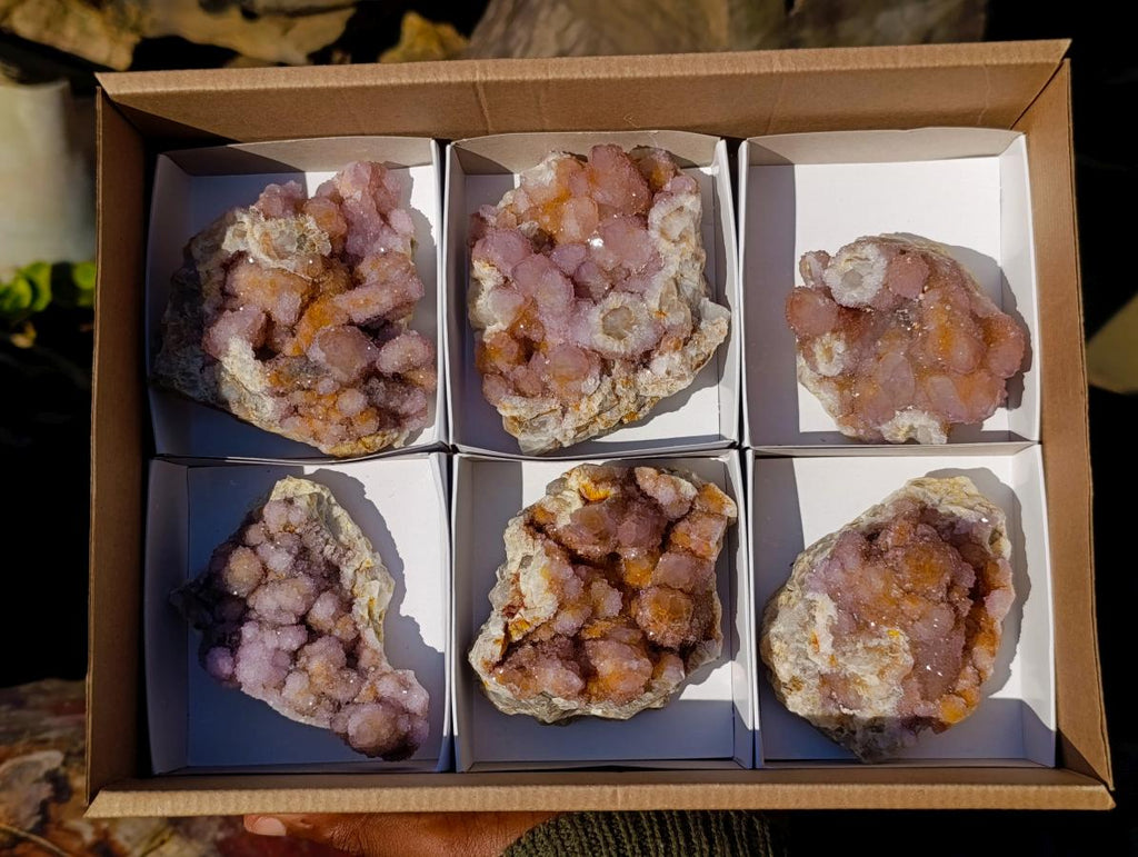 Natural Spirit Amethyst and Spirit Ametrine Clusters x 6 From Boekenhouthoek, South Africa - Toprock Gemstones and Minerals 