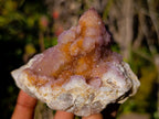 Natural Spirit Amethyst and Spirit Ametrine Clusters x 6 From Boekenhouthoek, South Africa - Toprock Gemstones and Minerals 