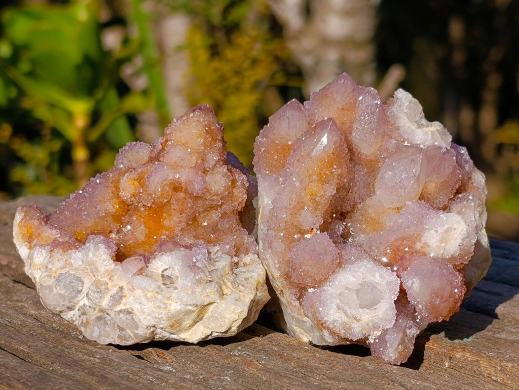 Natural Spirit Amethyst and Spirit Ametrine Clusters x 6 From Boekenhouthoek, South Africa - Toprock Gemstones and Minerals 