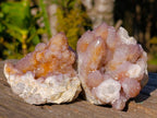 Natural Spirit Amethyst and Spirit Ametrine Clusters x 6 From Boekenhouthoek, South Africa - Toprock Gemstones and Minerals 