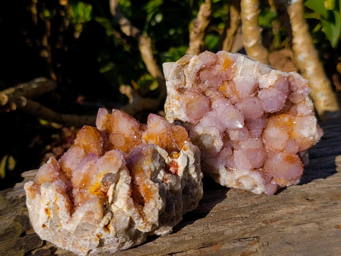 Natural Spirit Amethyst and Spirit Ametrine Clusters x 6 From Boekenhouthoek, South Africa - Toprock Gemstones and Minerals 