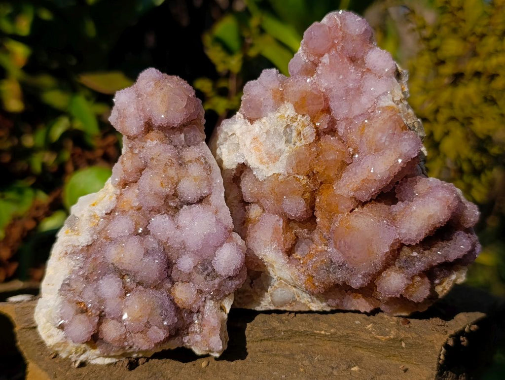 Natural Spirit Amethyst and Spirit Ametrine Clusters x 6 From Boekenhouthoek, South Africa - Toprock Gemstones and Minerals 