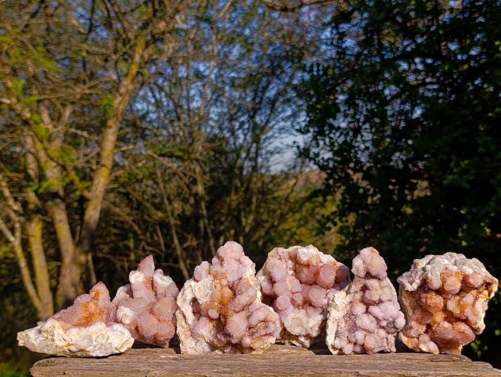 Natural Spirit Amethyst and Spirit Ametrine Clusters x 6 From Boekenhouthoek, South Africa - Toprock Gemstones and Minerals 