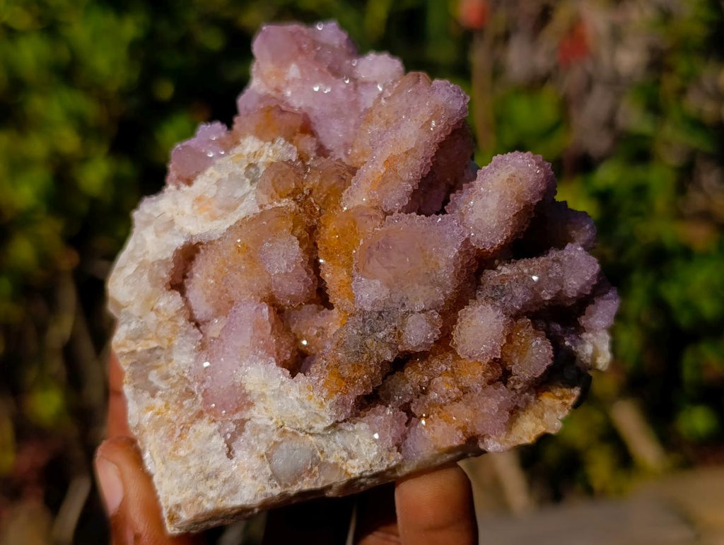 Natural Spirit Amethyst and Spirit Ametrine Clusters x 6 From Boekenhouthoek, South Africa - Toprock Gemstones and Minerals 