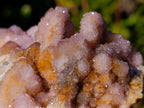 Natural Spirit Amethyst and Spirit Ametrine Clusters x 6 From Boekenhouthoek, South Africa - Toprock Gemstones and Minerals 