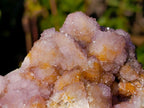 Natural Spirit Amethyst and Spirit Ametrine Clusters x 6 From Boekenhouthoek, South Africa - Toprock Gemstones and Minerals 
