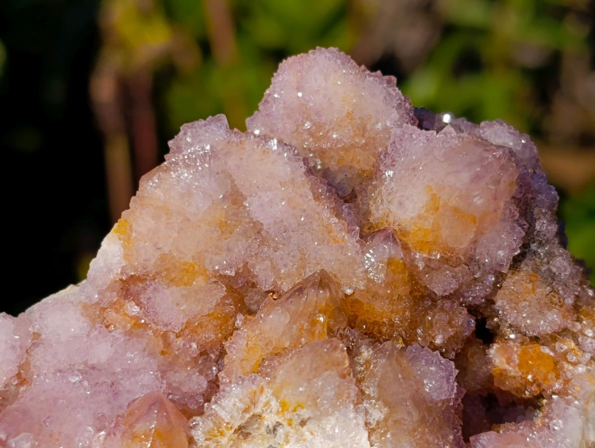 Natural Spirit Amethyst and Spirit Ametrine Clusters x 6 From Boekenhouthoek, South Africa - Toprock Gemstones and Minerals 