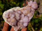 Natural Spirit Amethyst and Spirit Ametrine Clusters x 6 From Boekenhouthoek, South Africa - Toprock Gemstones and Minerals 