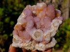 Natural Spirit Amethyst and Spirit Ametrine Clusters x 6 From Boekenhouthoek, South Africa - Toprock Gemstones and Minerals 