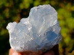 Natural Blue Celestite Specimens x 12 From Sakoany, Madagascar - Toprock Gemstones and Minerals 