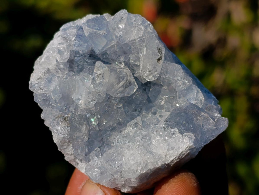 Natural Blue Celestite Specimens x 12 From Sakoany, Madagascar - Toprock Gemstones and Minerals 