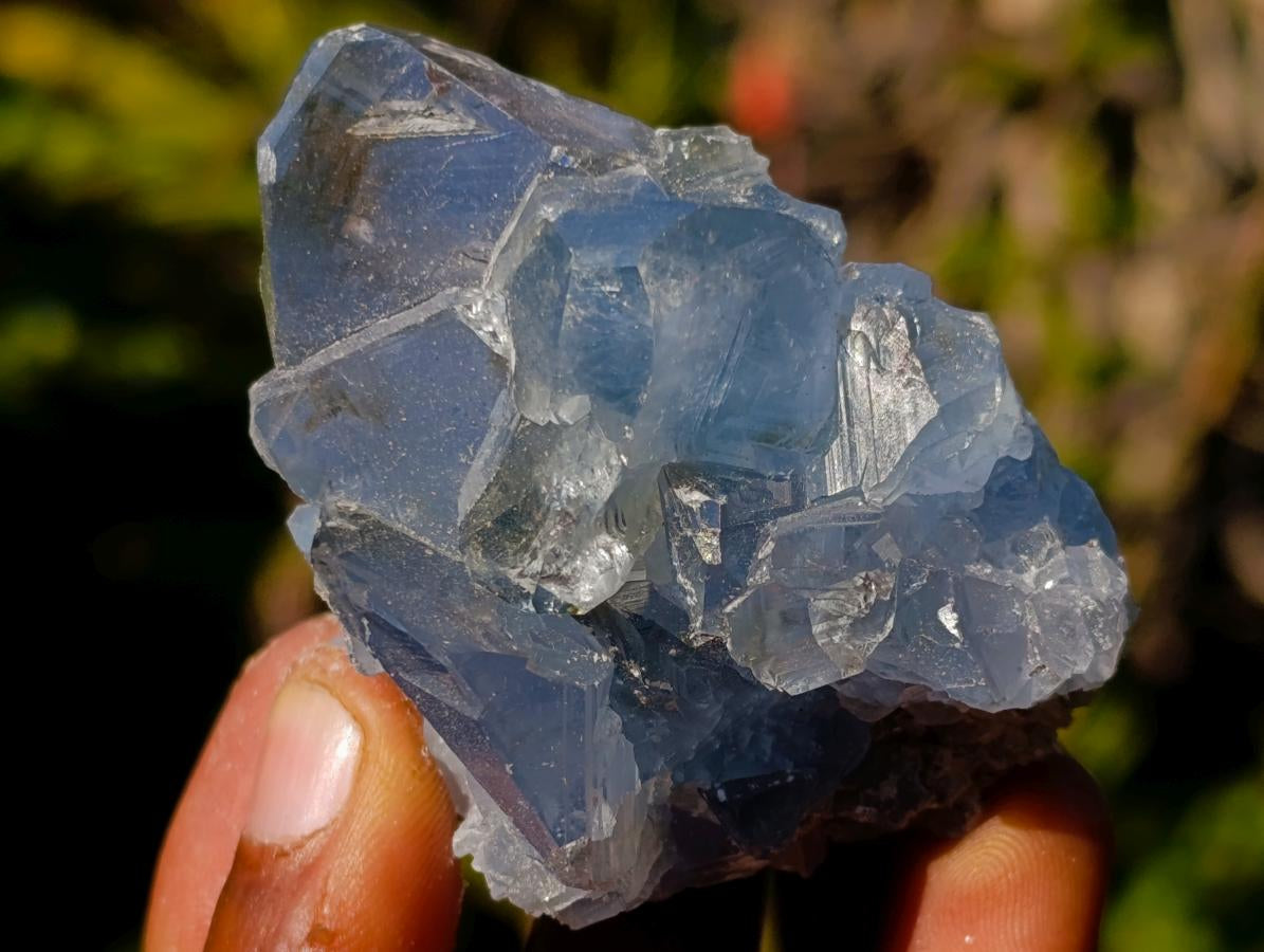 Natural Blue Celestite Specimens x 12 From Sakoany, Madagascar - Toprock Gemstones and Minerals 