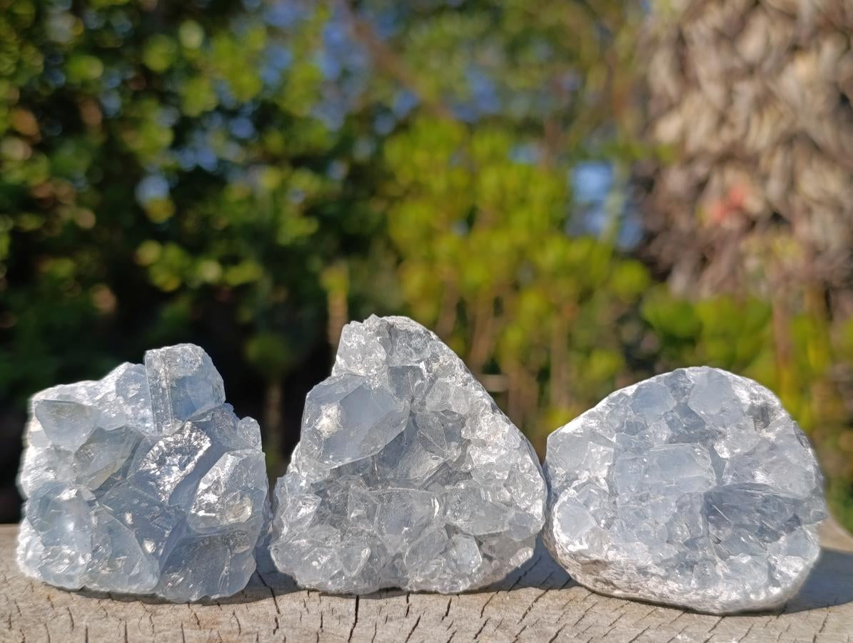 Natural Blue Celestite Specimens x 12 From Sakoany, Madagascar - Toprock Gemstones and Minerals 