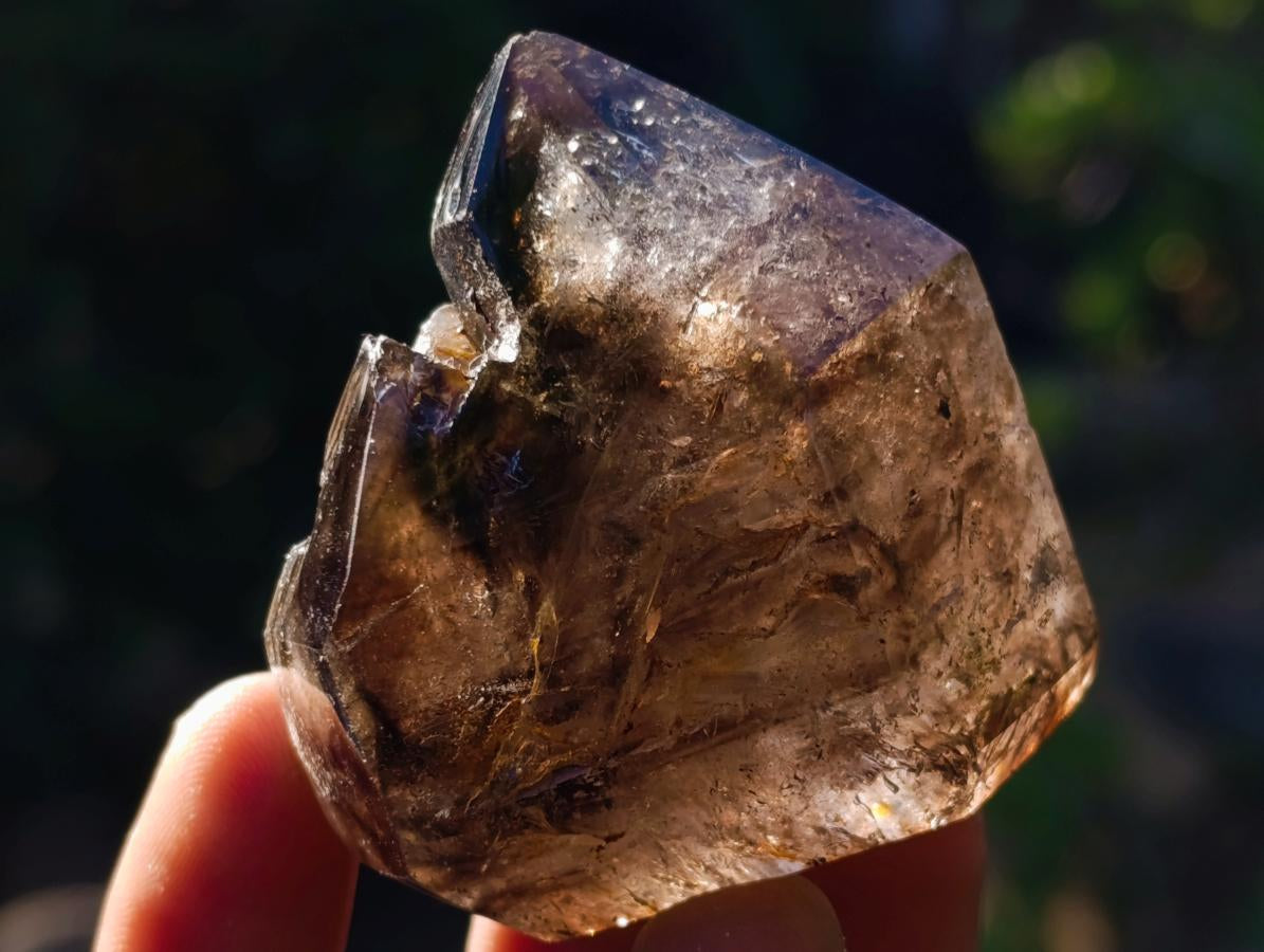 Polished Smokey Window Quartz Crystals x 6 From Akansobe, Madagascar - Toprock Gemstones and Minerals 