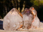 Polished Smokey Window Quartz Crystals x 6 From Akansobe, Madagascar - Toprock Gemstones and Minerals 