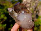 Polished Smokey Window Quartz Crystals x 6 From Akansobe, Madagascar - Toprock Gemstones and Minerals 