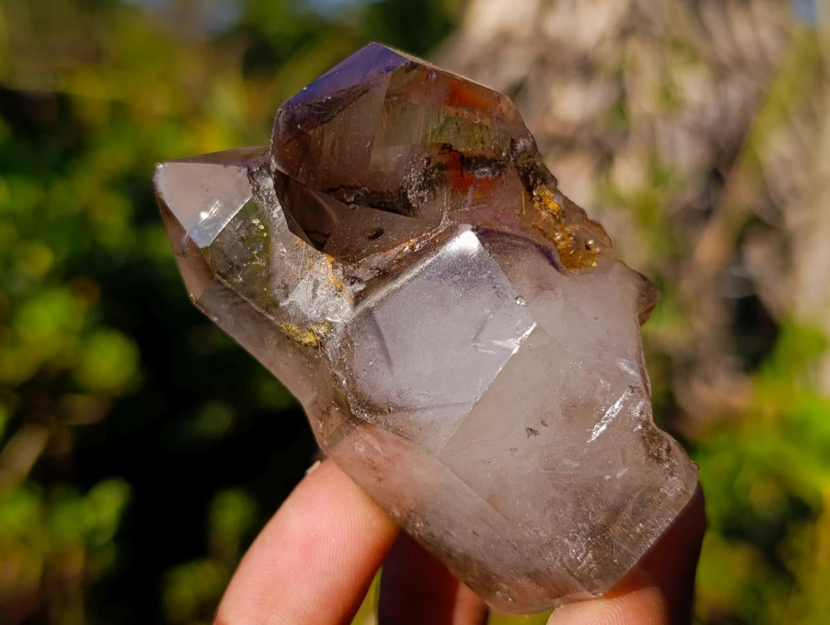 Polished Smokey Window Quartz Crystals x 6 From Akansobe, Madagascar - Toprock Gemstones and Minerals 
