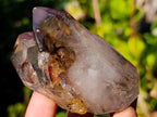 Polished Smokey Window Quartz Crystals x 6 From Akansobe, Madagascar - Toprock Gemstones and Minerals 