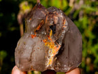 Polished Smokey Window Quartz Crystals x 6 From Akansobe, Madagascar - Toprock Gemstones and Minerals 