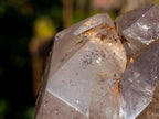 Polished Smokey Window Quartz Crystals x 6 From Akansobe, Madagascar - Toprock Gemstones and Minerals 