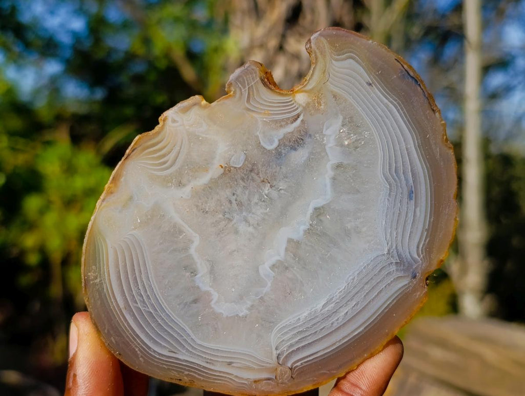 Polished Banded Agate Slices with Natural Edging x 7 From Madagascar - Toprock Gemstones and Minerals 